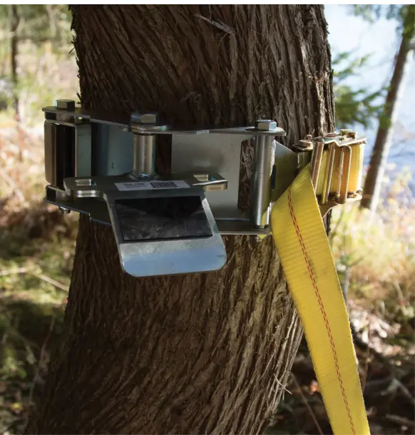 Capture d’écran 2026-01-24 153928.webp