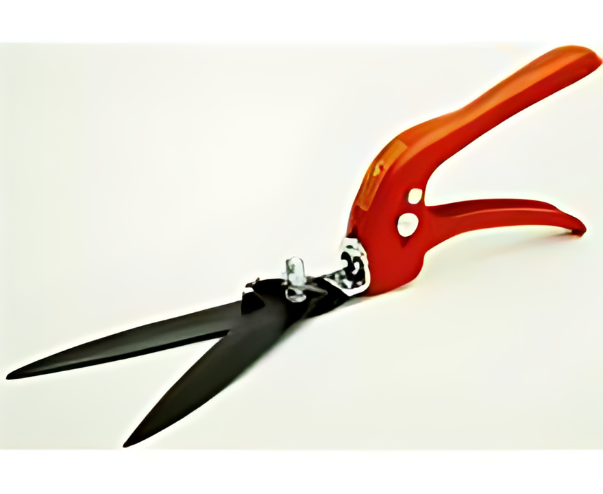 Cisaille a gazon WOLF RI-T, RI-T, 4009269703383, 73AJA001650