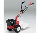 Cellule Lazer - Eurosystems p55 - Briggs&amp;Stratton 675