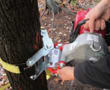 Systeme ancrage de treuil pour arbre avec sangle